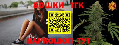 МДПВ Сосновый Бор