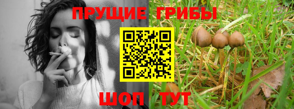 Галлюциногенные грибы GOLDEN TEACHER  Вход с VPN  Абакан  Псилоцибиновые грибы Magic Shrooms 